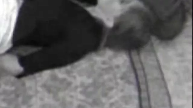 Darmowe porno bez rejestracji Laura. Nie. Monique. S. Sara M. W. John Kevin pokaż gołe cipy L.