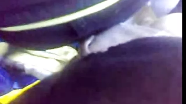 Darmowe porno bez rejestracji Najlepsze gole cipki chomikuj